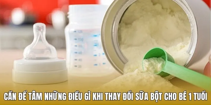 Cần để tâm những điều gì khi thay đổi sữa bột cho bé 1 tuổi
